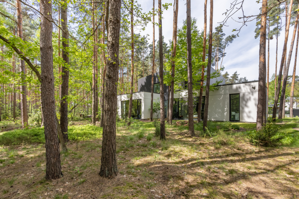 Studio Sosna – Dom wśród sosen