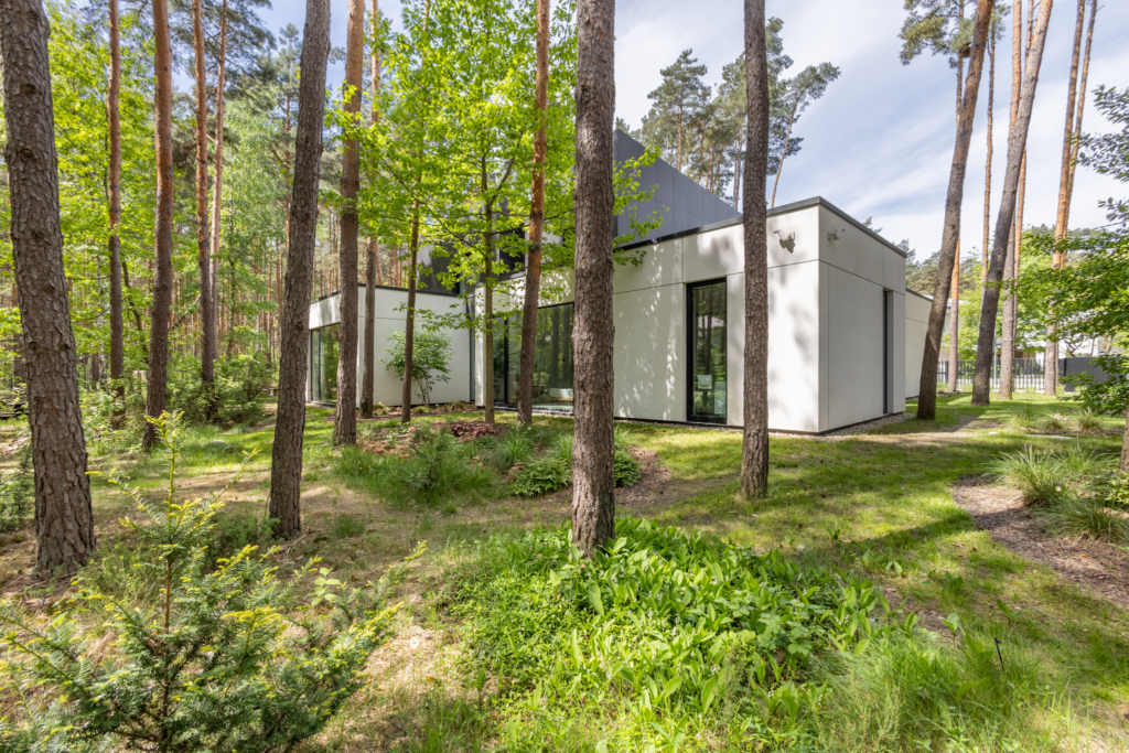 Studio Sosna – Bryła w lesie